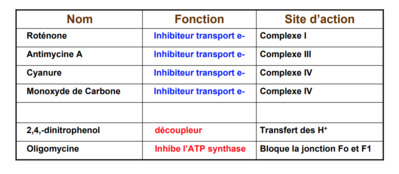 Capture d’écran 2018-11-26 à 08.48.25.png