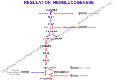 Capture d’écran 2018-11-26 à 17.00.28.png