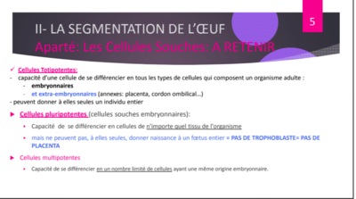 Capture d’écran 2018-11-26 à 17.51.13.png