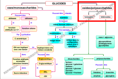 Capture d’écran 2018-11-30 à 12.47.34.png