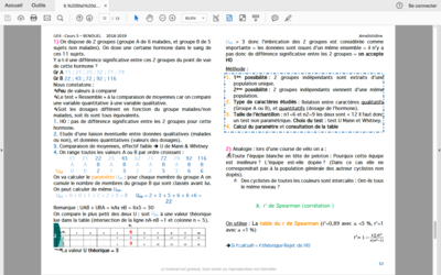 Capture d’écran 2018-12-04 à 08.27.36.png