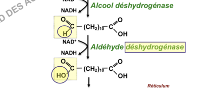 Capture d’écran 2018-12-07 à 12.57.42.png