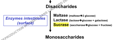 Capture d’écran 2018-12-07 à 23.27.52.png