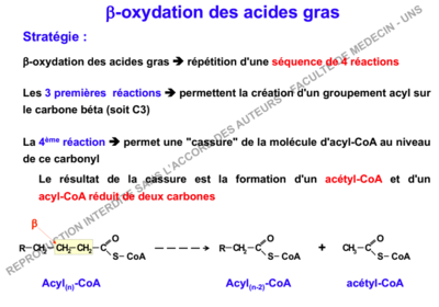 Capture d’écran 2018-12-08 à 13.41.25.png