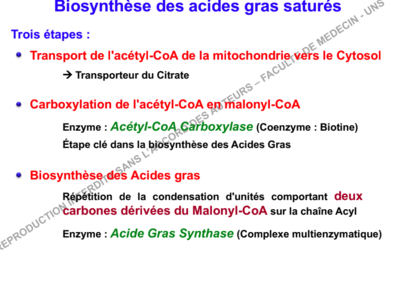 Capture d’écran 2018-12-08 à 14.22.51.png