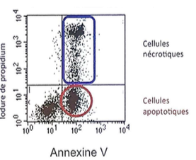 Capture d’écran 2018-12-12 à 14.08.18.png
