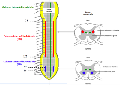 Capture d’écran 2019-01-15 à 15.40.30.png