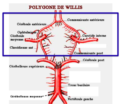 Capture d’écran 2019-01-31 à 14.53.48.png