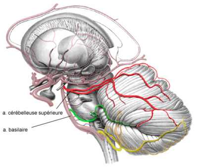 Capture d’écran 2019-01-31 à 11.39.09.png