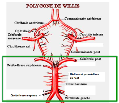 Capture d’écran 2019-01-31 à 15.26.59.png