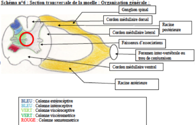 Capture d’écran 2019-02-04 à 13.30.50.png