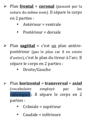 Capture d’écran 2019-02-06 à 08.39.11.png