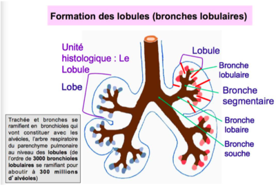 Capture d’écran 2019-02-15 à 11.42.09.png
