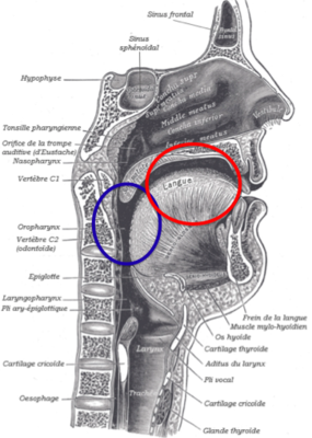 Capture d’écran 2019-02-24 à 18.49.53.png