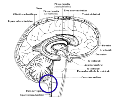 Capture d’écran 2019-03-04 à 17.46.45.png