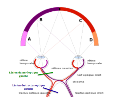 Capture d’écran 2019-03-07 à 13.29.42.png