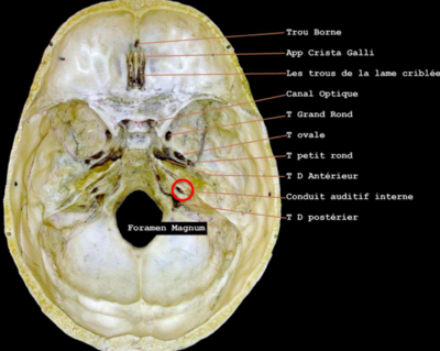 Capture d’écran 2019-03-17 à 13.08.32.png