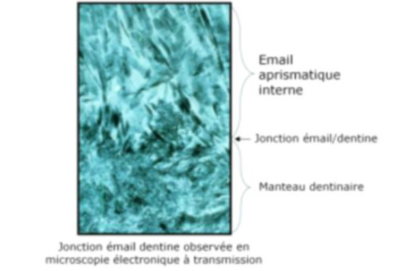 Capture d’écran 2019-03-17 à 19.19.11.png