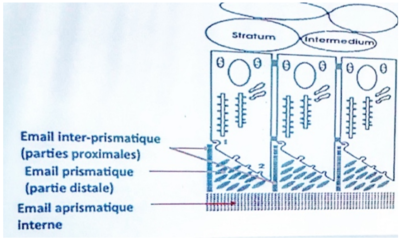 Capture d’écran 2019-03-17 à 19.11.19.png