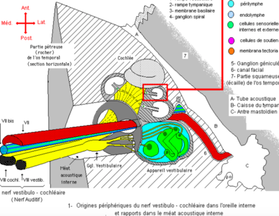 Capture d’écran 2019-03-19 à 15.08.13.png