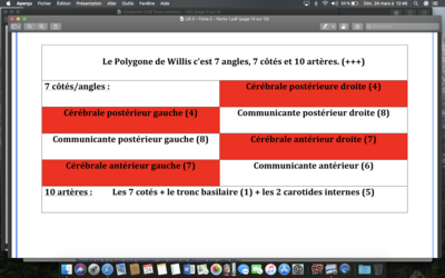 Capture d’écran 2019-03-24 à 12.46.14.png