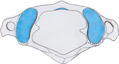 atlas découpé- copie.png