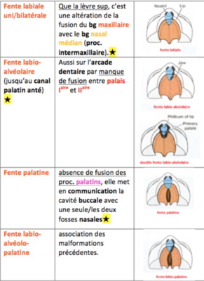 Capture d’écran 2019-03-24 à 23.00.38.png
