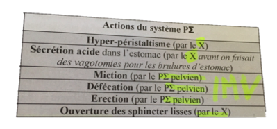 Capture d’écran 2019-03-25 à 11.26.24.png