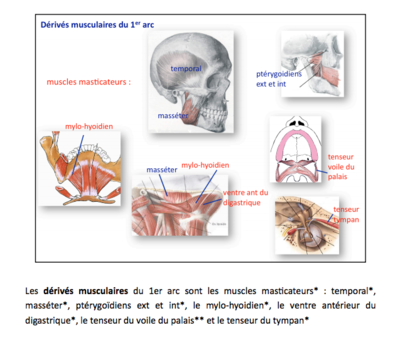 Capture d’écran 2019-03-26 à 21.19.35.png