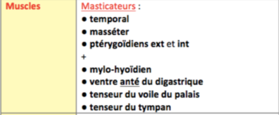 Capture d’écran 2019-03-27 à 10.22.40.png