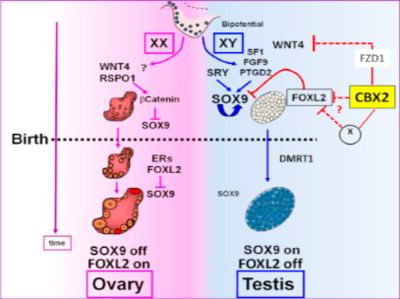 Capture d’écran 2019-03-28 à 16.54.04.png