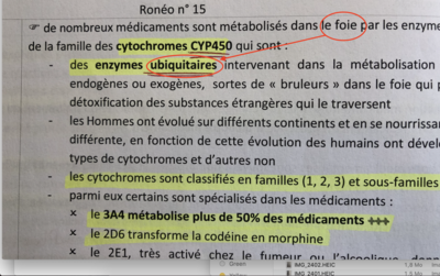 Capture d’écran 2019-04-01 à 09.49.14.png