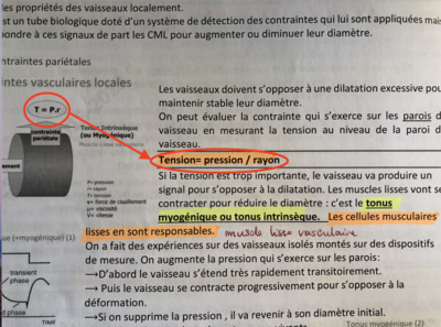 Capture d’écran 2019-04-02 à 08.39.36.png