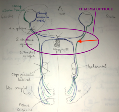 Capture d’écran 2019-04-03 à 19.50.25.png