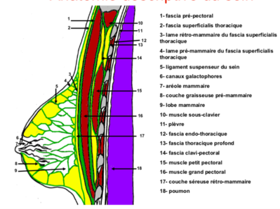 Capture d’écran 2019-04-05 à 15.35.26.png