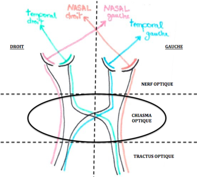 Capture d’écran 2019-03-07 à 17.41.00.png