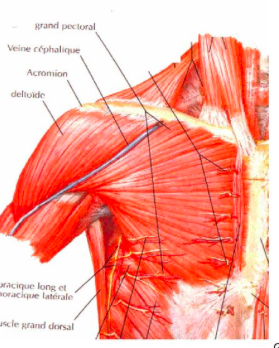 Capture d’écran 2019-04-07 à 19.09.13.png