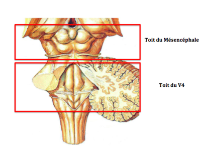 Capture d’écran 2019-04-09 à 13.39.40.png