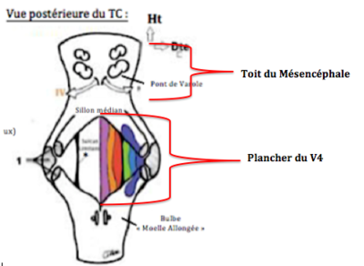 Capture d’écran 2019-04-09 à 13.42.19.png