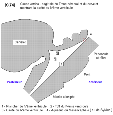 Capture d’écran 2019-04-09 à 18.04.29.png