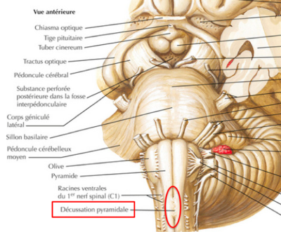 Capture d’écran 2019-04-09 à 18.45.51.png