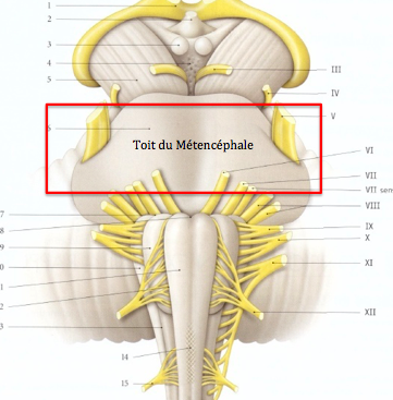 Capture d’écran 2019-04-09 à 20.09.58.png