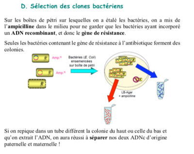 Capture d’écran 2019-04-11 à 10.25.31.png