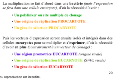 Capture d’écran 2019-04-11 à 10.44.36.png
