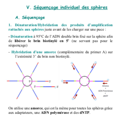 Capture d’écran 2019-04-12 à 10.00.08.png