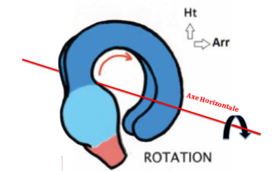 Capture d’écran 2019-04-14 à 12.15.05.png