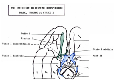 Capture d’écran 2019-04-14 à 14.41.38.png
