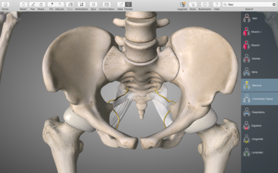 Capture d’écran 2019-04-14 à 15.31.11.png