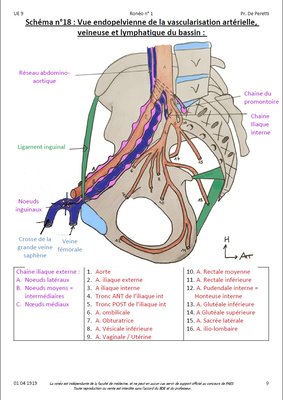 UE9 Ronéo 1 - Schéma 18.jpg