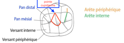 Capture d’écran 2019-04-17 à 12.23.30.png